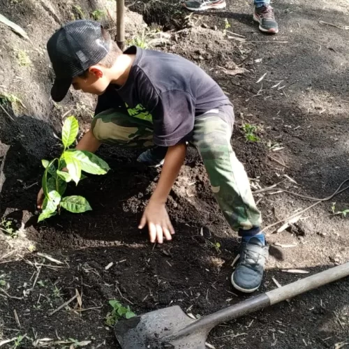 WhatsApp Image 2025-08-09 at 21.37.55_1d1a7a0b